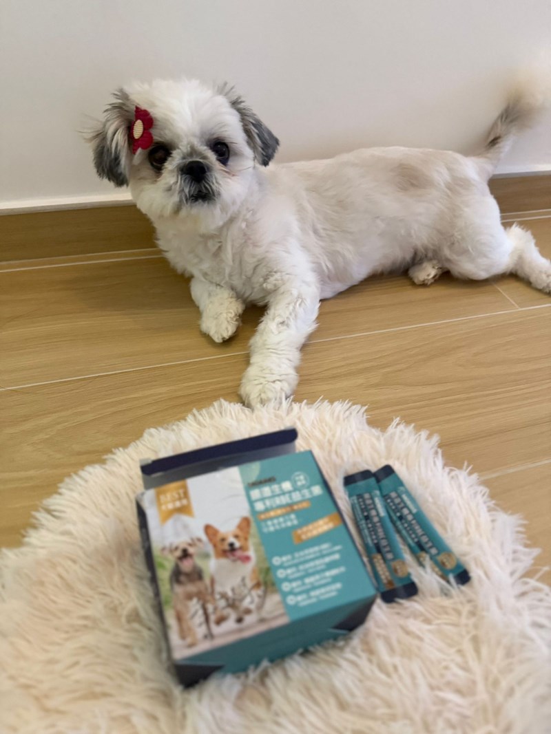 女人知己試用大隊,口碑行銷,部落客行銷,Moegis萌吉 腸道生機專利RBE益生菌,寵物益生菌,專利RBE益生元,專利蔬果酵素,小分子胜肽,藍藻粉,維持免疫力,幫助維持消化道機能,維持正常食慾,改變細菌叢生態,腸胃保健,犬貓適用